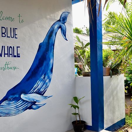 Blue Whale Guesthouse Gili Trawangan Exterior photo