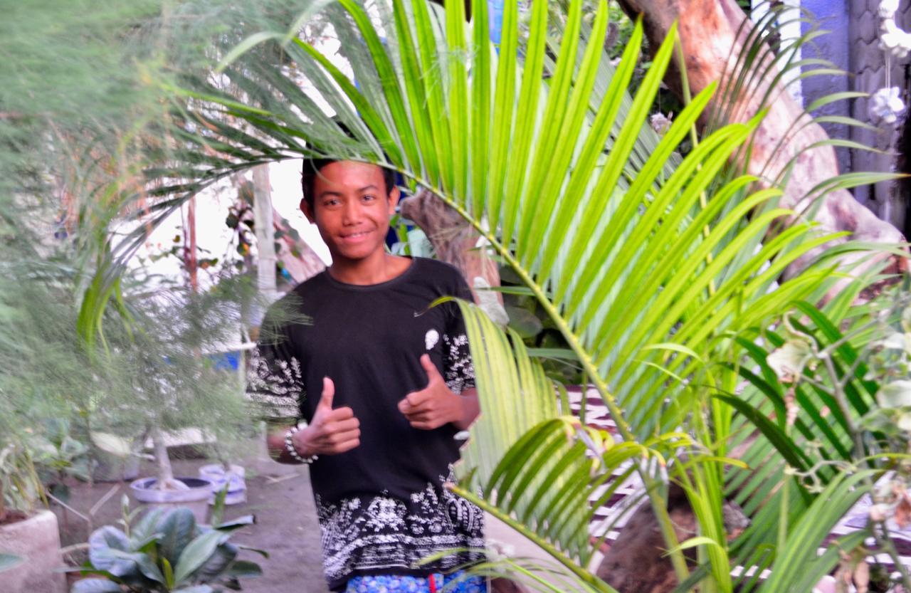 Blue Whale Guesthouse Gili Trawangan Exterior photo