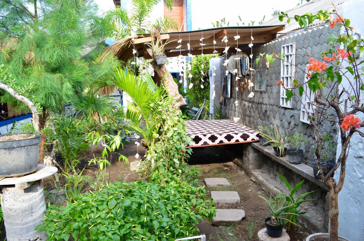 Blue Whale Guesthouse Gili Trawangan Exterior photo