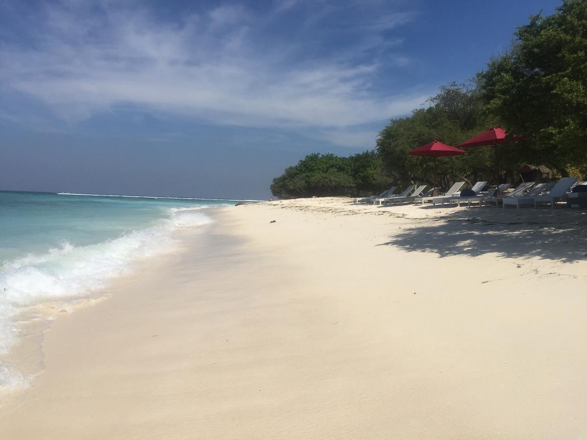 Blue Whale Guesthouse Gili Trawangan Exterior photo